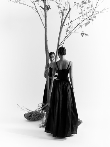 homepage website banner